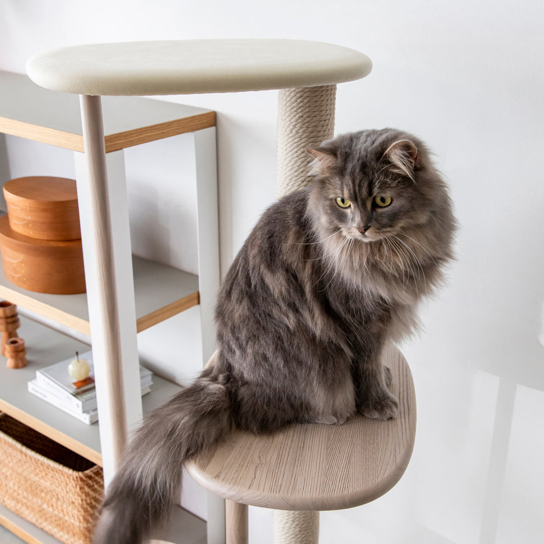 KARIMOKU CAT TREE – KANADEMONO