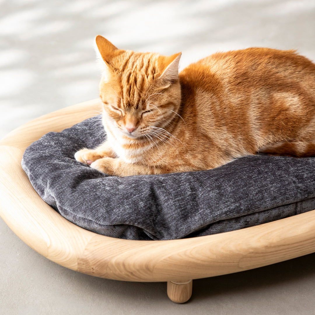 カリモク 猫 ベット ベッド 通販 | 【公式】カリモク家具オンライン