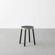 THE STOOL / リノリウム 全32色 × Black Steel　Standard