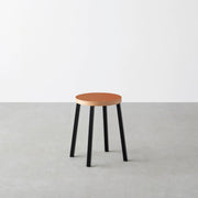 THE STOOL / リノリウム 全32色 × Black Steel　Standard