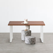 Kanademonoのラバーウッドブラウン天板とホワイトのスクエア鉄脚で製作した、猫穴付きのテーブル（ネコ入り）