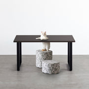 Kanademonoのラバーウッドブラックブラウン天板とブラックのスクエア鉄脚で製作した、猫穴付きのテーブル（ネコ入り）