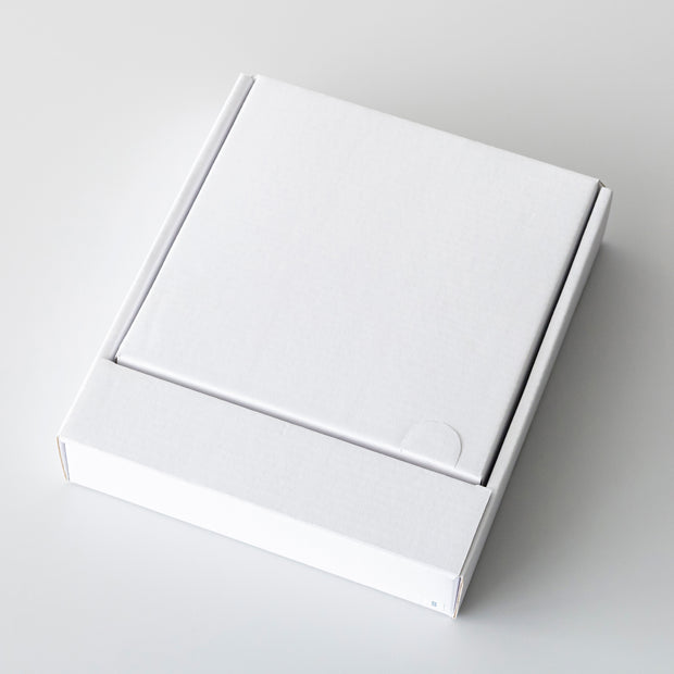 SUNAO アイスクリームスプーン5Pセット