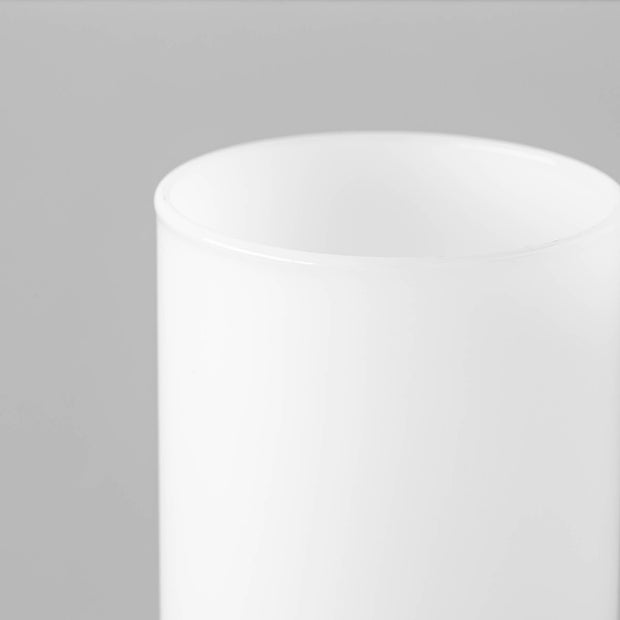 BOROSILヴィジョングラス（ホワイト）