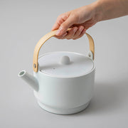 1616 / arita japan　"Colour Porcelain" ティーポット