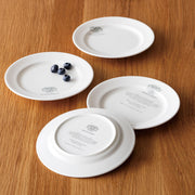 REMASTERED ラウンドプレート　16 - 26cm