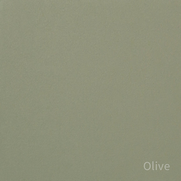 Kanademonoのリノリウム素材の棚板にステンレスフレームを組み合わせた２段ストレージシェルフ /Olive（色見本）