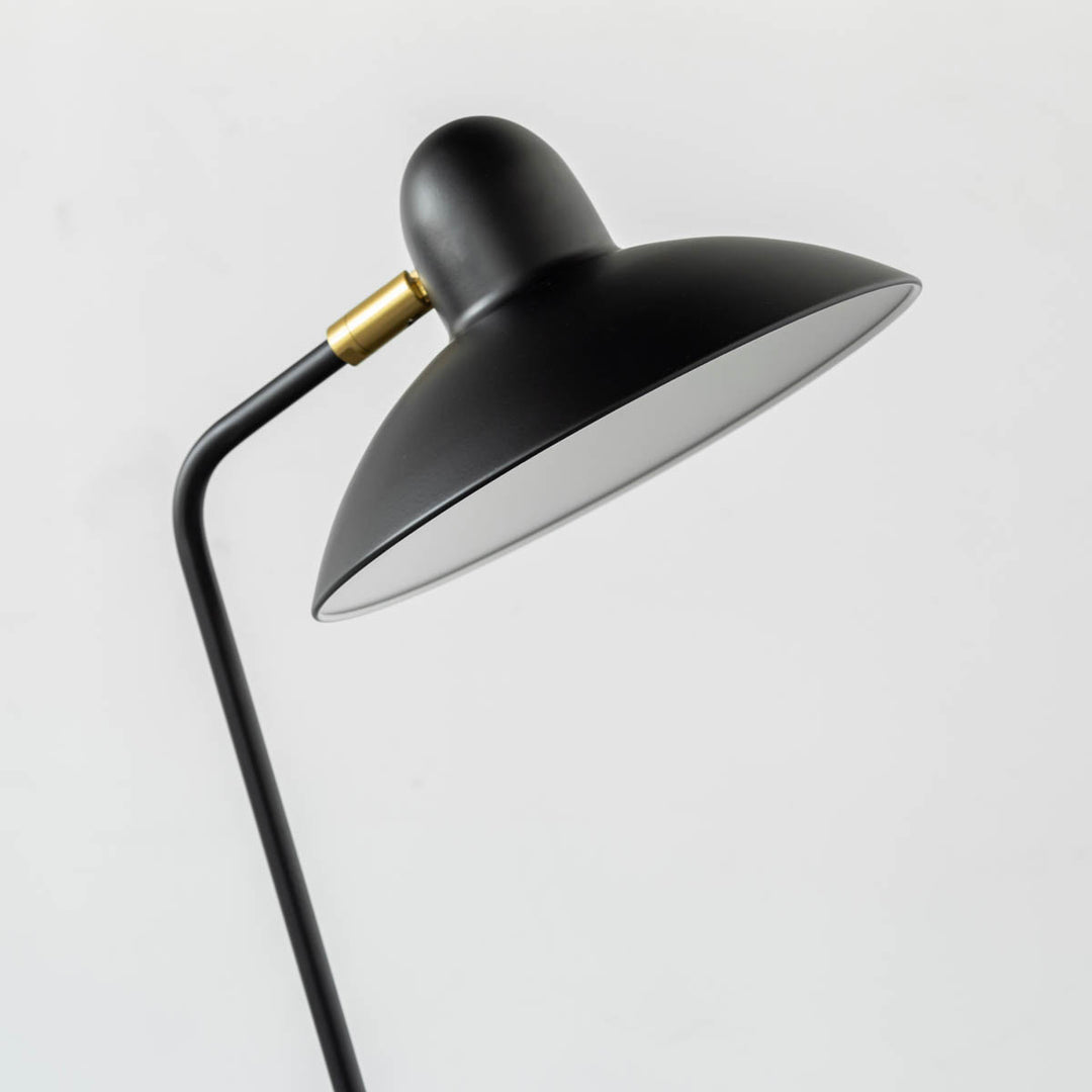 Black - brass Modern Floor Lamp – KANADEMONO
