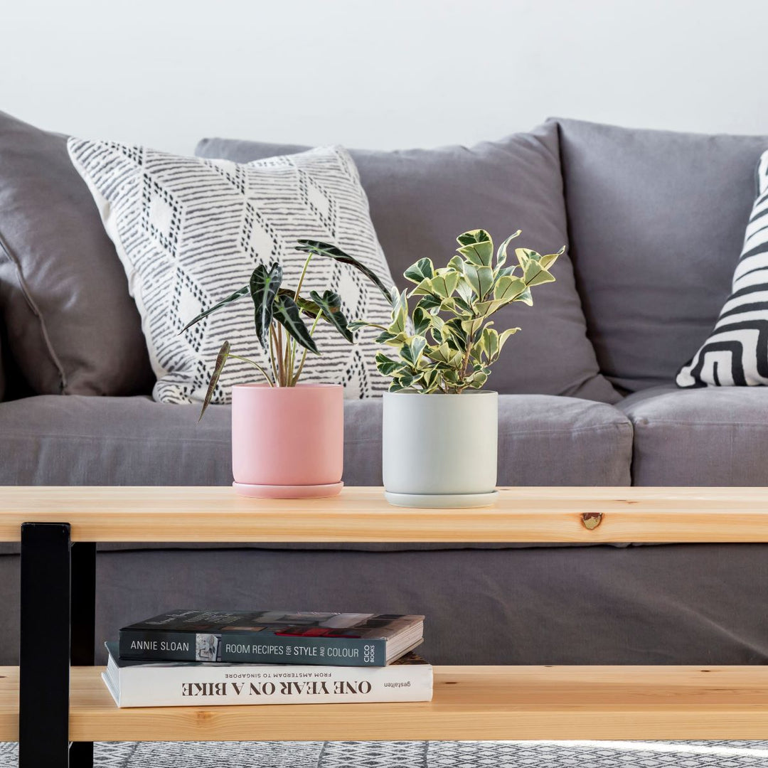 素材」×「デザイン」 シンプルな鉢 シリーズ - Pink 4号 – KANADEMONO