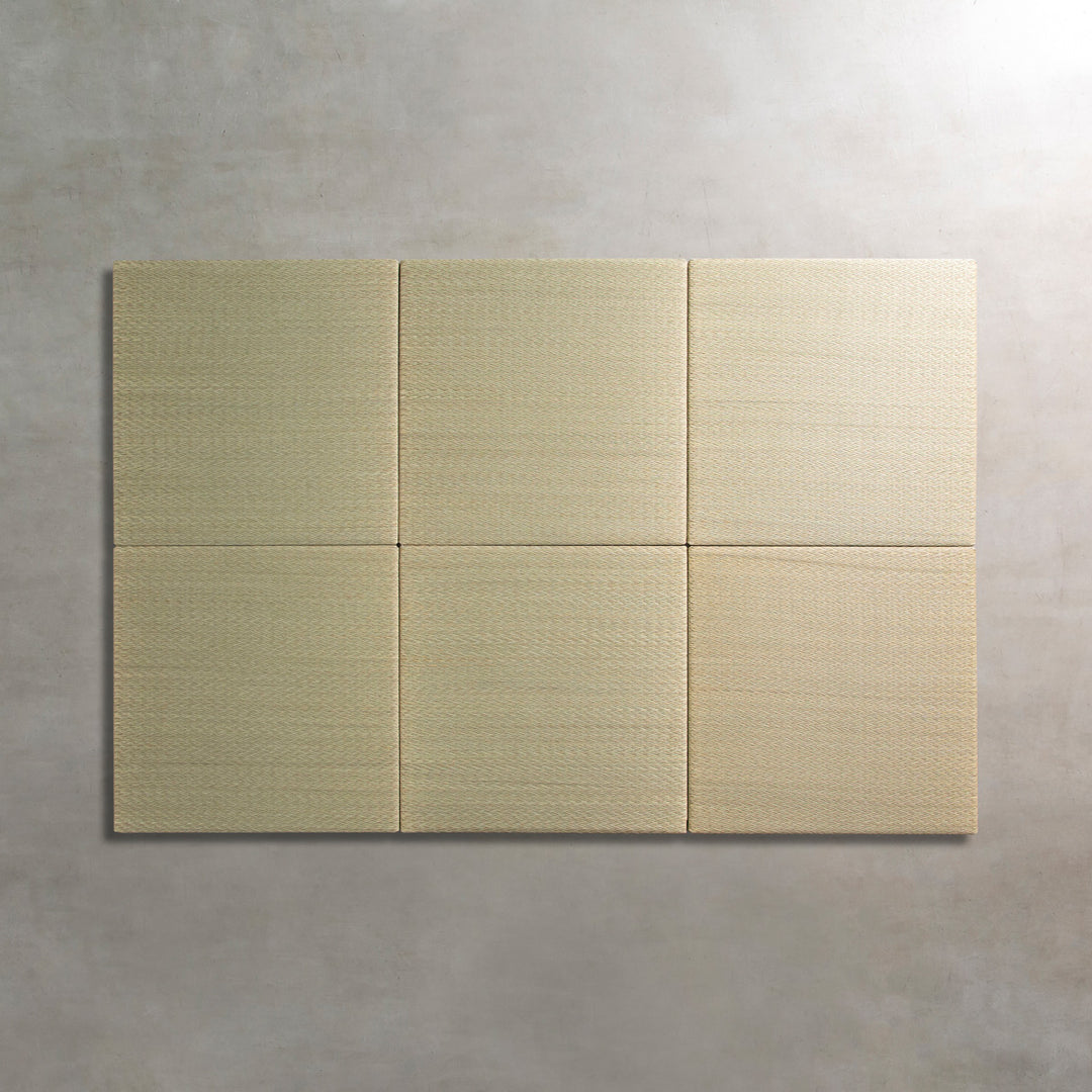 カラー畳タタミ❗ユニット畳タタミ❗8枚❗タタミ❗防水加工❗即決