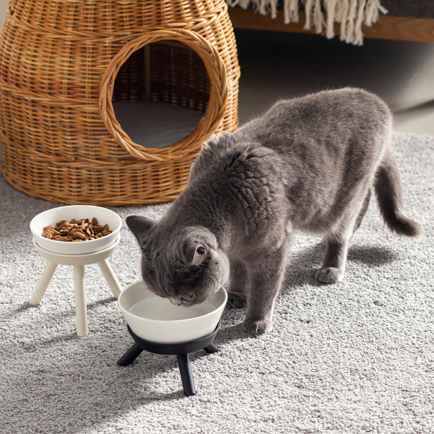 猫が食べやすいデザインと上質な素材感にこだわったセラミック製フードボウル＆スタンド／ブラック（猫入り使用イメージ）