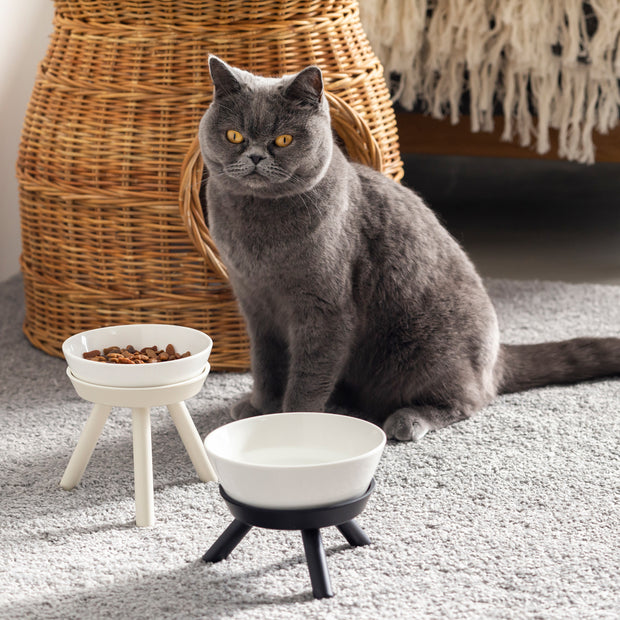 猫が食べやすいデザインと上質な素材感にこだわったセラミック製フードボウル＆スタンド／ベージュ・ブラック（猫入り使用イメージ）