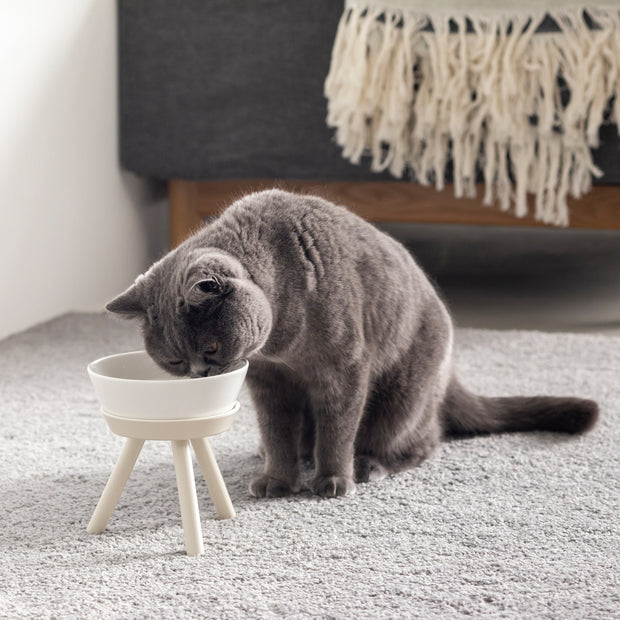 猫が食べやすいデザインと上質な素材感にこだわったセラミック製フードボウル＆スタンド／ベージュ（猫入り使用イメージ）