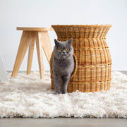 ラタンの手編み籠でつくられたナチュラルな雰囲気のペットハウス（猫入りイメージカット4）